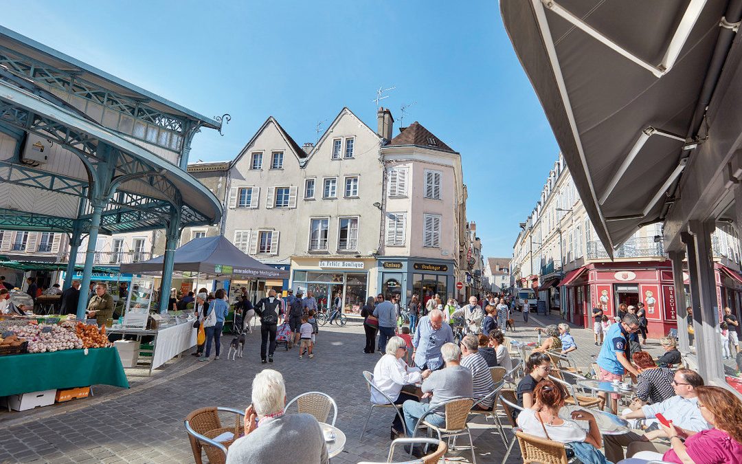 Vue panoramique de Chartres